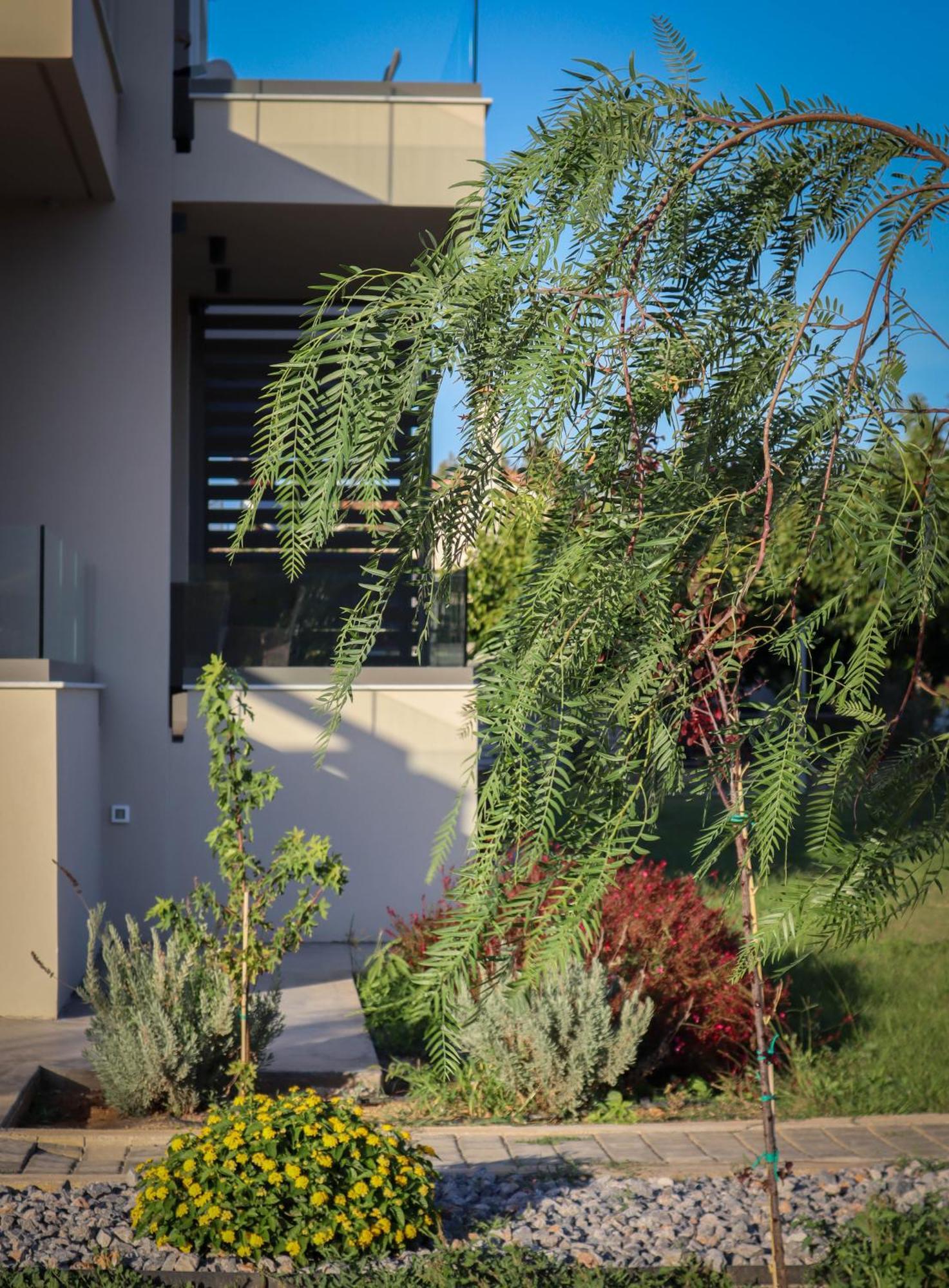 Almyres Luxurious Residences Míloi Esterno foto